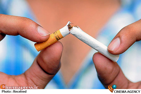 از حضور «وزیر ارشاد» و ترسیم اهمیت عرصه «فیلم کوتاه» تا پیشنمایش مسیرکج «ژانرگرایی»!