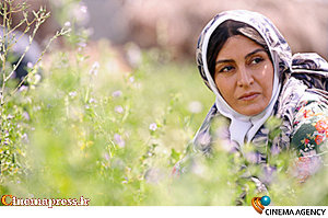 نمایش «شیار ۱۴۳» و «اشیا از آنچه در آینه می بینید» در جشنواره کلرادو آمریکا شیار 143
