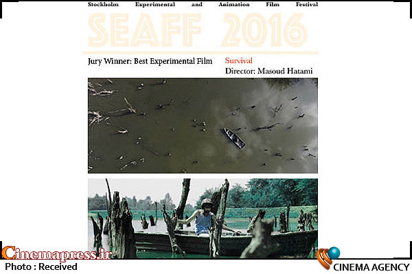 جایزه ویژه هیات داوران جشنواره چک به «تنازع» رسید تنازع