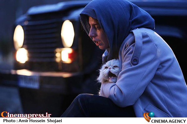 «رگ خواب» و «اکسیدان»بعد از شبهای قدر به سینماها می آیند رگ خواب