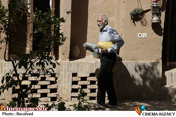 «پنج» دو جایزه جهانی دیگر برد  فیلم سینمایی پنج