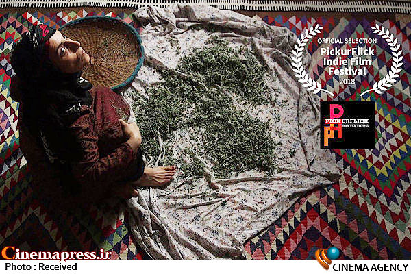 نمایش «فروزان» در یک جشنواره هندی فیلم کوتاه «فروزان»