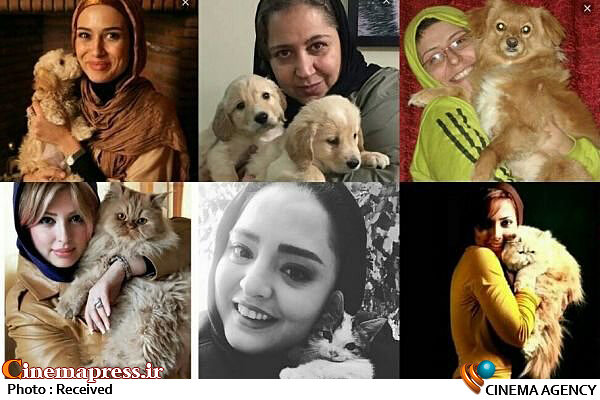 سلبریتیها همدم شدن با سگ و گربه را تبلیغ میکنند حیوانات سلبریتیها
