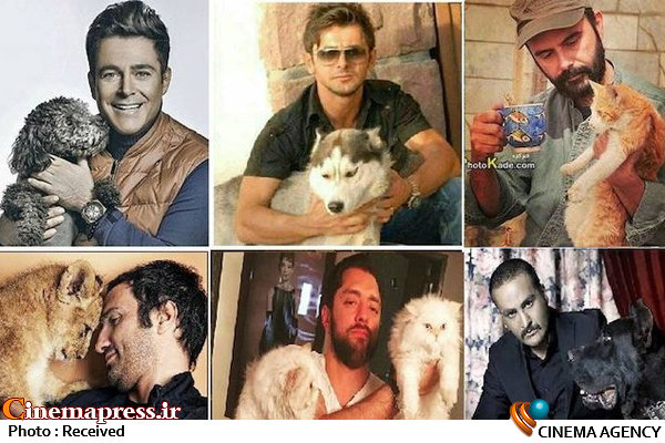 سلبریتیها حب سگ و گربه دارند یا حب الایران؟! گربه و سگ بازی سلبریتی ها
