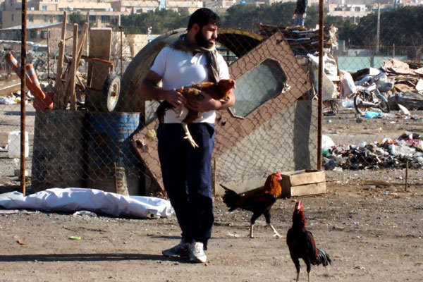مستند «گِرو» 