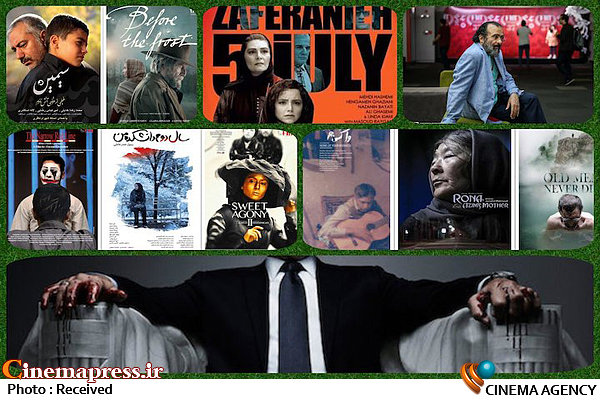 جولان تقیزادهها در جشنواره جهانی/  وقتی یک محفل به مسیری برای نفوذ فرهنگی مبدل می شود اندر احوال سی و هفتمین جشنواره جهانی فیلم فجر (۳)