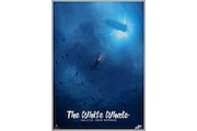 انیمیشن «نهنگ سفید»
