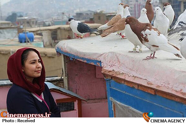 «حوا، مریم، عایشه» و دوفیلم دیگر مجوز نمایش گرفتند فیلم حوا، مریم، عایشه