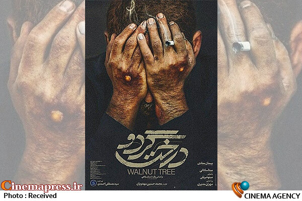 رونمایی از پوستر فیلم سینمایی «درخت گردو»  پوستر فیلم سینمایی درخت گردو