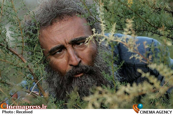 سریال «پایتخت۶» نوروزی شد مهران احمدی در پایتخت 6
