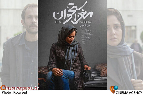 تصمیمی برای اکران فیلم «مغز استخوان» نداریم فیلم سینمایی مغز استخوان