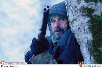 از حضور آقازاده ها در چهل سالگی «سیمرغ» تا آثاری که میتواند شگفتی ساز باشد