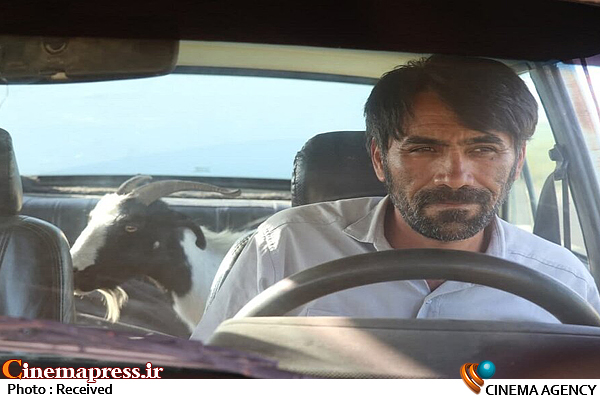 از رشادت های افسر کنترل هواپیمای شکاری تا زندگی بیرانوند دروازه بان محبوب/ کدام فیلم برنده سیمرغ خواهد شد؟