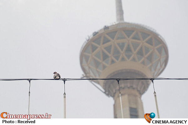 «میراث فرهنگی تمدنی ایران» جزو ده کشور برتر دنیاست/هنر معاصر ایران در این حد برجستگی ندارد که برایش گردشگر بیاید سبک زندگی اسلامی و ایرانی