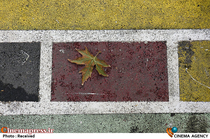 تاملی بر تعریف «دو قطبیسازی» و لزوم مراقبت مسئولان از «تکرار ادبیات مد نظر دشمن»