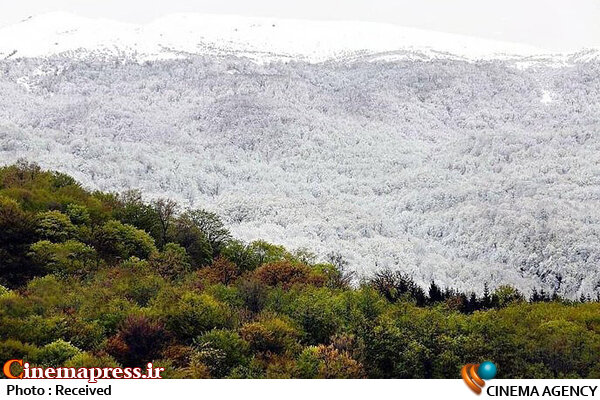 غفلت از بازنمایی «نقاط عطف تمدنی» در شرایط فقدان «نگاه جامع فرهنگی»