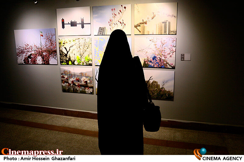 داوران «جشنواره هنرهای تجسمی جوانان ایران» در ده رشته اصلی معرفی شدند