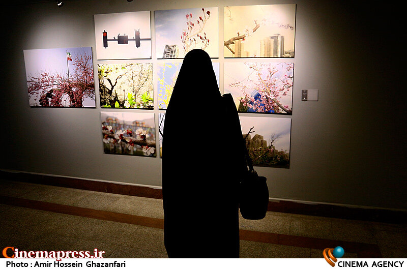 داوران «جشنواره هنرهای تجسمی جوانان ایران» در ده رشته اصلی معرفی شدند  افتتاحیه پانزدهمین جشنواره هنرهای تجسمی فجر