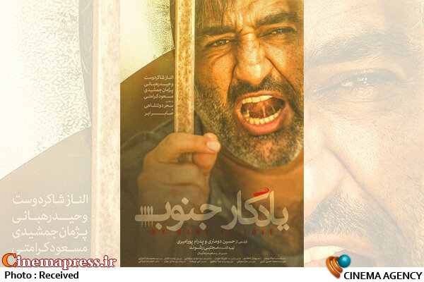 نگاهی به رویکرد محتوایی تولیدات اجتماعی حاضر در جشنواره/ محکی بر عملکرد سازمان سینمایی