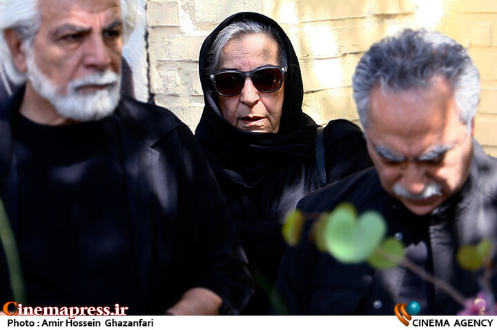 از بروز تناقضهای درونی «خانه سینما» تا اشتباه محاسباتی «شاهنشینان» در گزینش «مدیرعامل هویج به دست»!