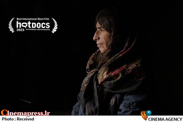 مستند «شوهر ایران خانم»