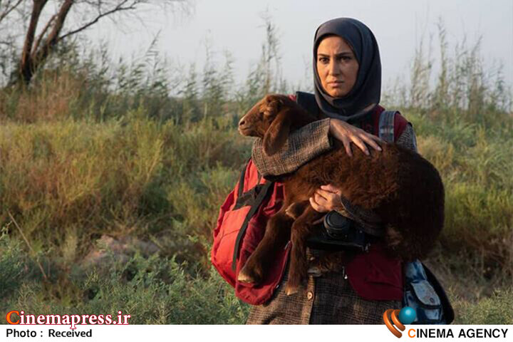 از حضور تنها کارگردان زن «فجر چهل و دوم» با روایتی از خود تا نمایش نخستین انیمیشن امسال «جشنواره فجر»