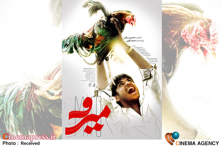 از حضور تنها کارگردان زن «فجر چهل و دوم» با روایتی از خود تا نمایش نخستین انیمیشن امسال «جشنواره فجر»