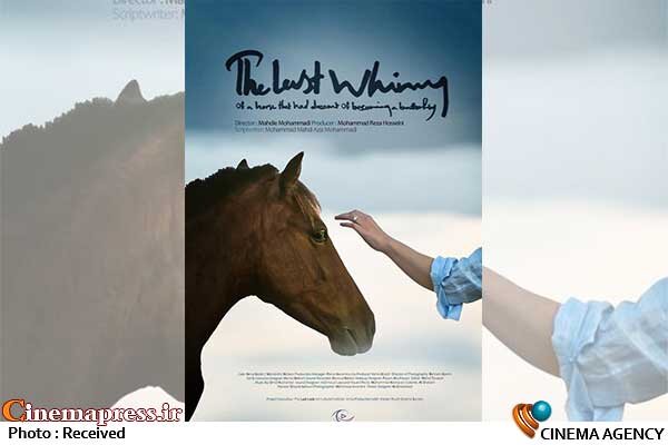 «آخرین شیهه...» به جشنواره فرایبورگ سوئیس میرود/ رونمایی از پوستر جدید