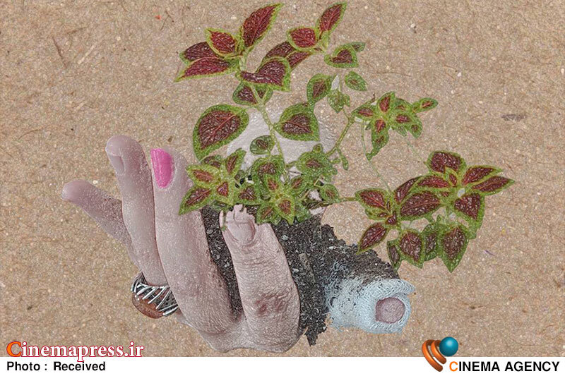 مهدیان: «یک وجب خاک» یک اثر «ضد ارزش های دفاع مقدس» نیست/ این اثر برای رده سنی معین با مخاطب خاص ساخته شده مستند «یک وجب خاک»