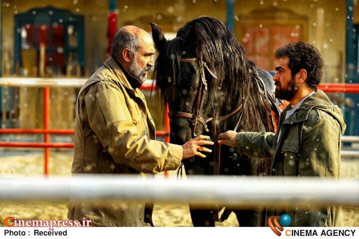 نخستین گام برای بازگشت «جشنواره فیلم فجر» به جایگاه اصلی!