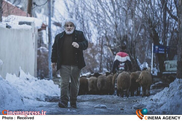 فیلم سینمایی «چشم بادومی» «مهدی هاشمی»
