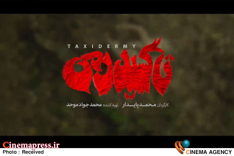 لوگوی «تاکسیدرمی» رونمایی شد فیلم سینمایی تاکسیدرمی