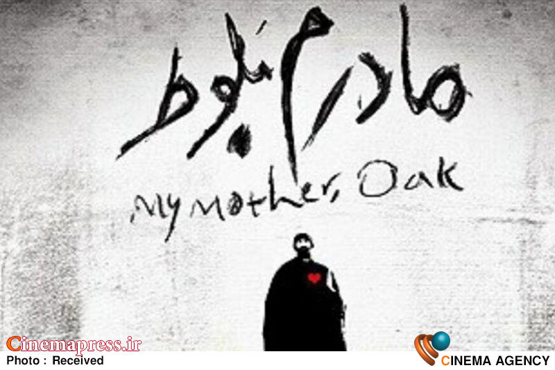 «مادرم بلوط» در سازمان نظام پزشکی کرج اکران میشود مستند «مادرم بلوط»