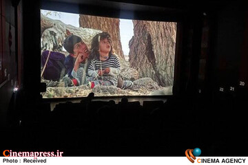 فیلم سینمایی «موی گرگ»