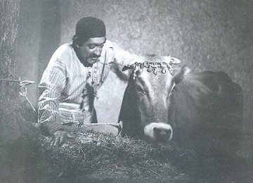 «گاو» مهرجویی به تلویزیون می‌آید