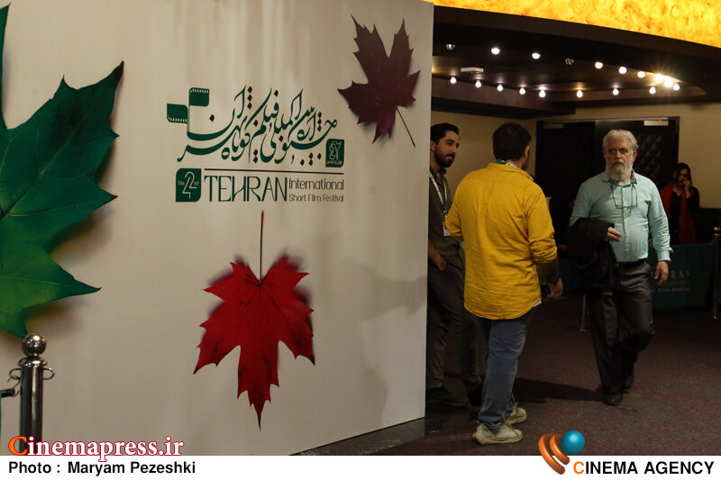 فیلم کوتاه «بازده مالی» چندانی ندارد/ «فیلم کوتاه» فرصتی است برای ساختن ارتباطات حرفهای/ این «ارتباطها» مسیر «فیلمسازی بلند» را هموار میکنند فیلم کوتاه «بازده مالی» چندانی ندارد/ «فیلم کوتاه» فرصتی است برای ساختن ارتباطات حرفهای/ این «ارتباطها» مسیر «فیلمسازی بلند» را هموار میکنند