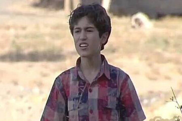 فیلم سینمایی «زنبورک»