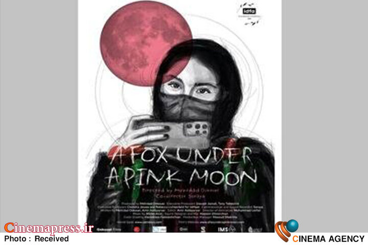 «روباه و ماه صورتی» روی پرده «سینماحقیقت»