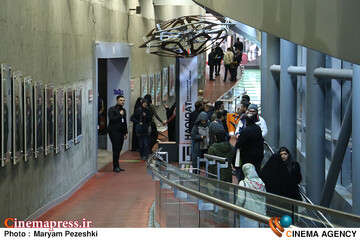 جشنواره سینماسس حقیقت 1404