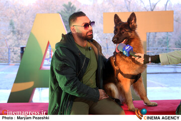 پنجمین روز جشنواره سینما حقیقت 23 آذر 1404