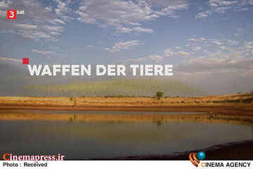 مستند «نبرد توانمندی‌های حیوانات»