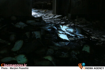 دومین نشست خبری جشنواره مردمی فیلم عمار 28 دی 1404