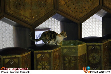 دومین روز جشنواره تئاتر فجر 3 بهمن 1404