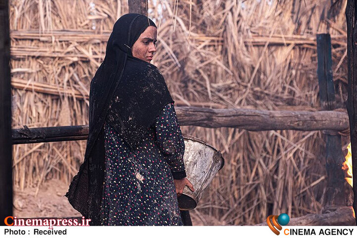 نخستین گام برای بازگشت «جشنواره فیلم فجر» به جایگاه اصلی!