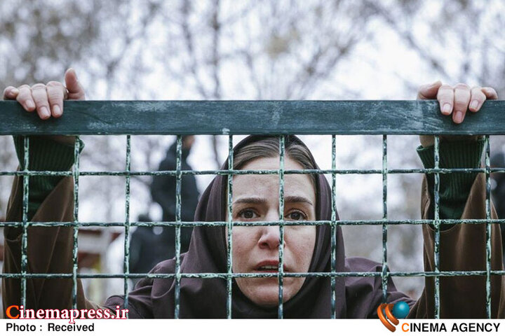 نخستین گام برای بازگشت «جشنواره فیلم فجر» به جایگاه اصلی!