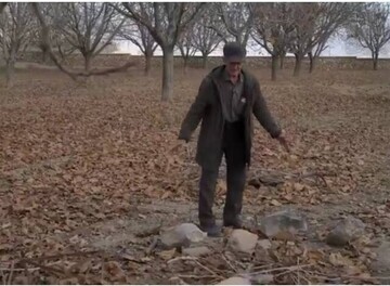 مستند «مزرع سبز فلک»