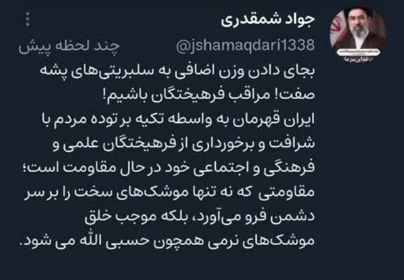 گلایه مهم «جواد شمقدری» از عملکرد رسانه‌ای «نهادهای فرهنگی» / بجای دادن وزن اضافی به «سلبریتی‌های» پشه صفت(!) مراقب «فرهیختگان» باشیم!