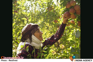 سریال «مادران»