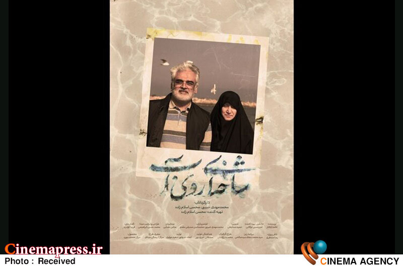 «شاخهای روی آب» به تلویزیون میآید «شاخهای روی آب» به تلویزیون میآید