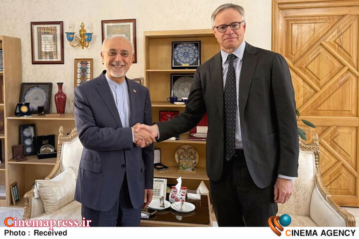 تبدیل «بنیاد ایرانشناسی» به ملک طلق «برادر زاده طاهره قرةالعین»؛ دیدار با «سفیر آلمان» همزمان با اقدامات مداخله‌جویانه سفارت این کشور در تهران چه معنایی دارد!